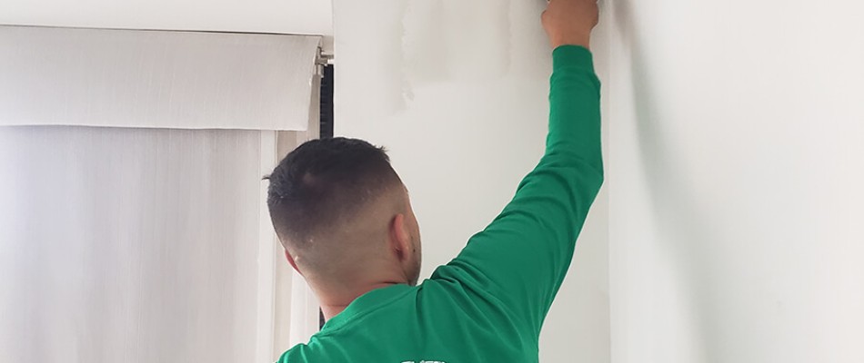 Arreglo Humedad Bogota